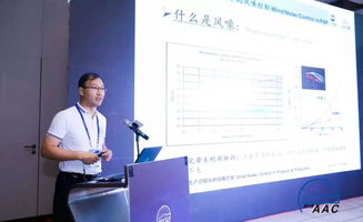 技术产品开发与生产过程中的风噪控制技术咨询